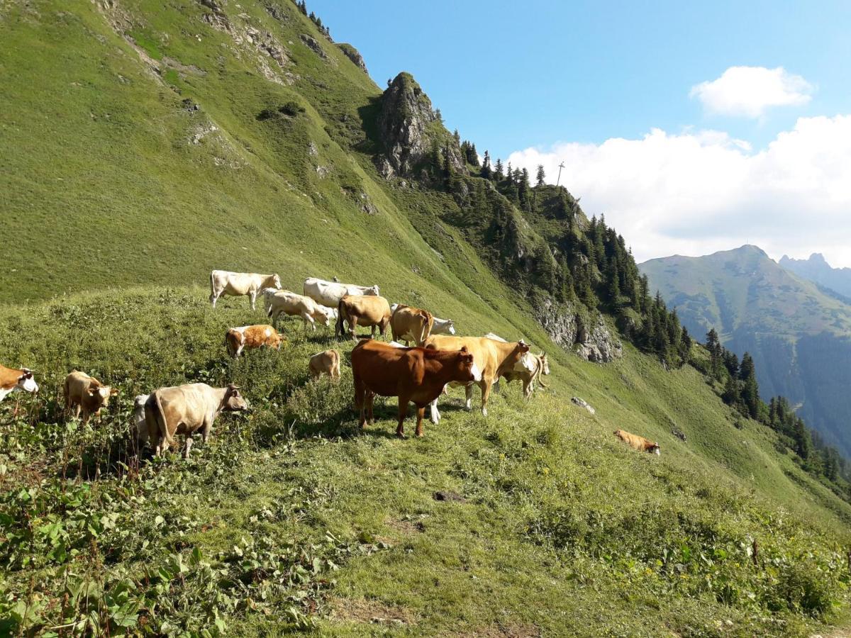 Auszeit Steiraland 3 Mit Ueberdachter Terasse Privatem Garten Und Gratis Parkplatz Leoben  Esterno foto